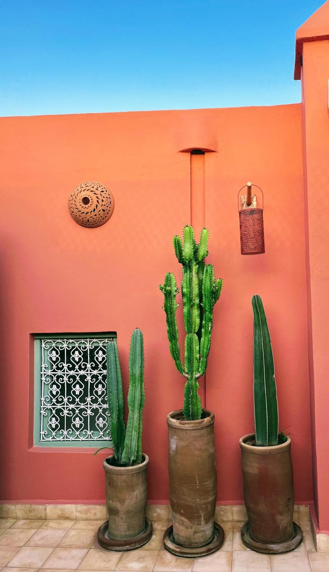 Dar Dabakech, Proche Jemma El Fna, Souk, Centre Medina, Riad, Logement Entier De 2 A 6 Personnes マラケシュ エクステリア 写真